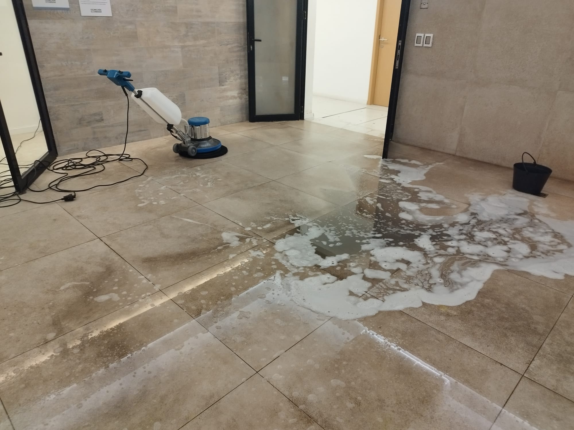Trabajo de limpieza LM PRO