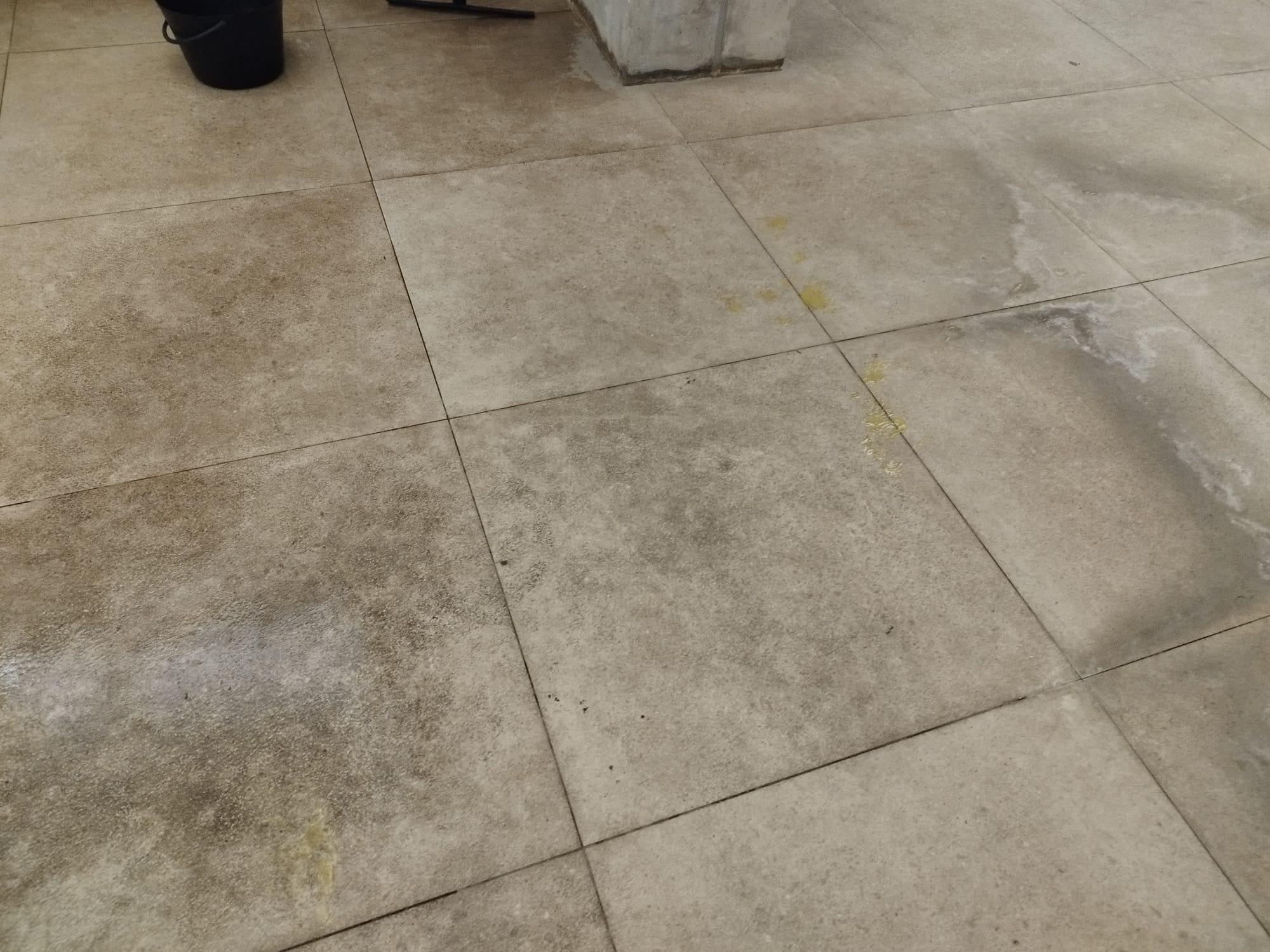 Trabajo de limpieza LM PRO